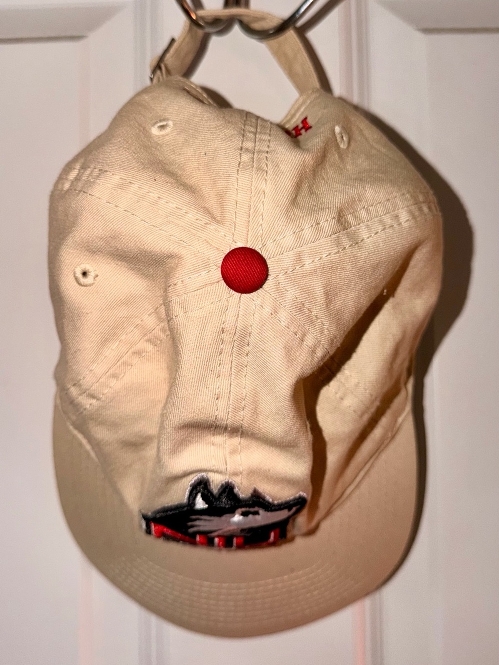 NIU Baseball Cap